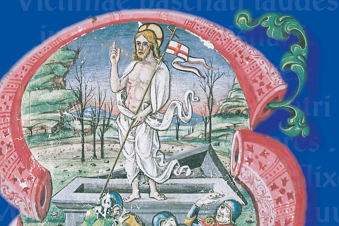 Paschalia   foto neutra